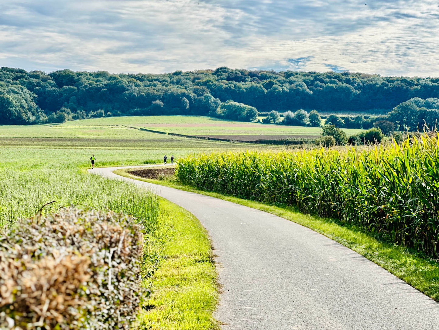 De échte Ronde van Limburg