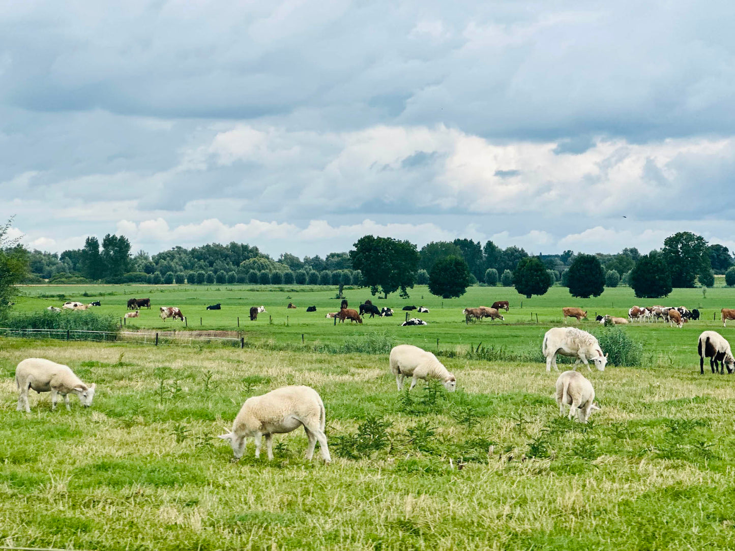 De échte Ronde van Gelderland