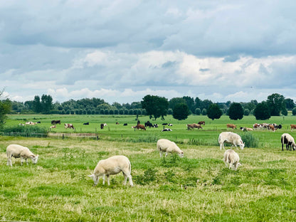 De échte Ronde van Friesland